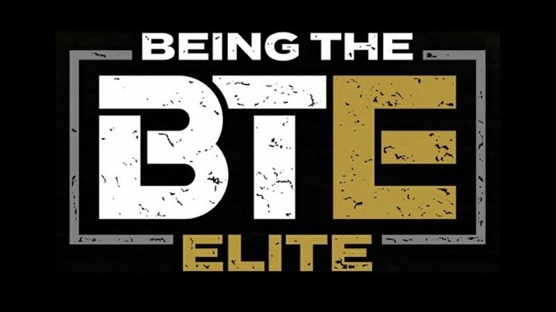 BTE Being The Elite