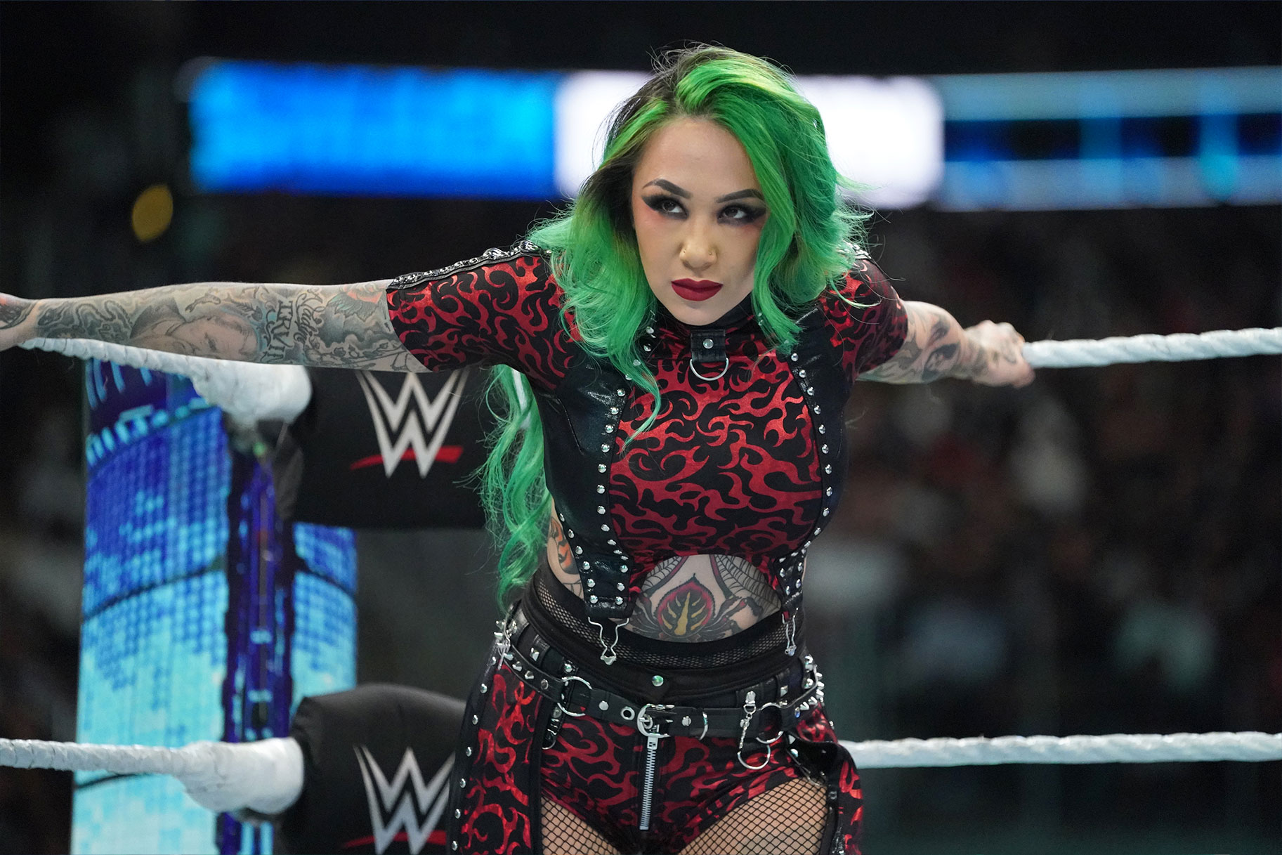 wwe shotzi5