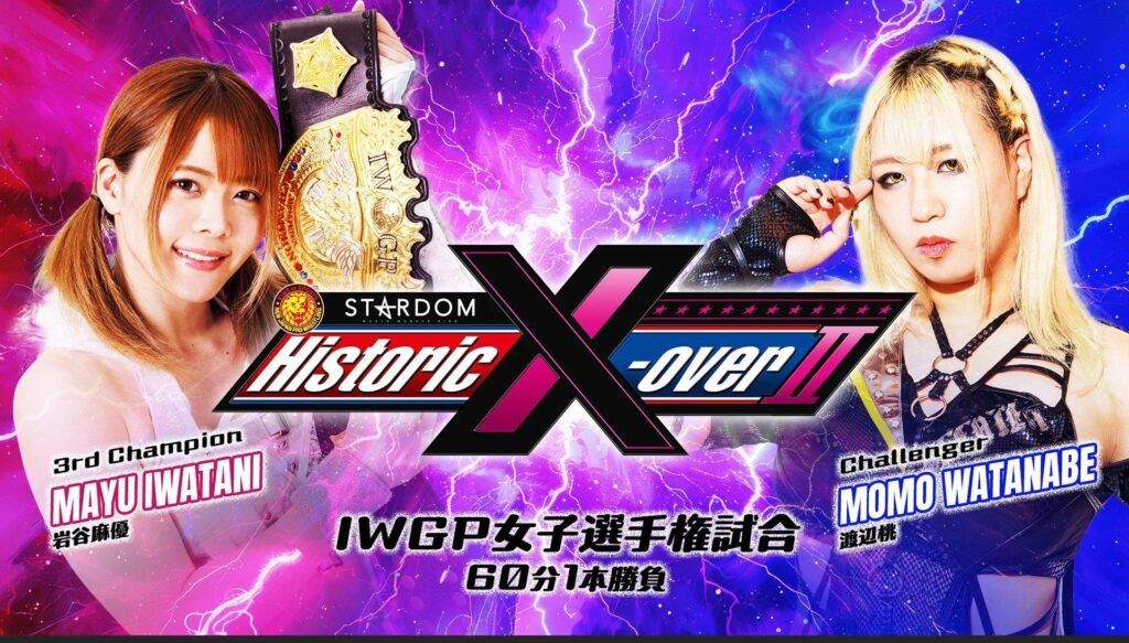 WrestlePurists Match Ratings November 11th – November 17th 2024