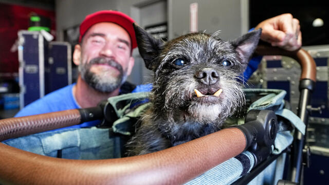 CM Punk Says Fan Support Following His Dog Larry’s Passing Has Been Hard To Put Into Words